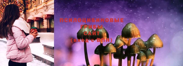 эйфоретик Майский