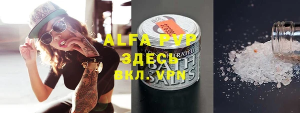 хмурый Магас
