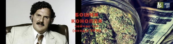 хмурый Магас