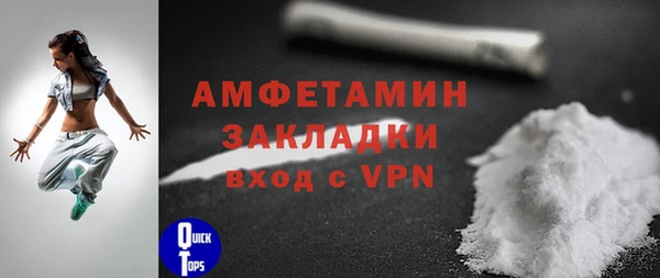 хмурый Магас