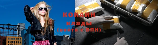 эйфоретик Майский