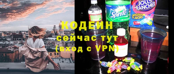 хмурый Магас
