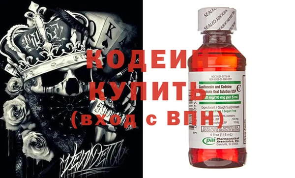 хмурый Магас