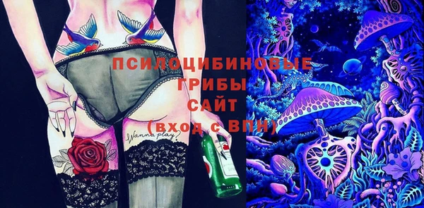 хмурый Магас
