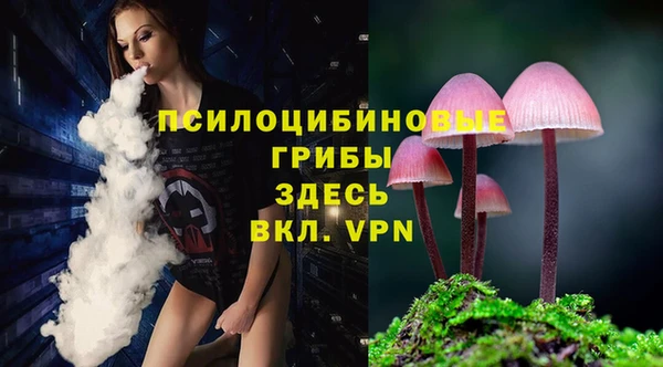 эйфоретик Майский