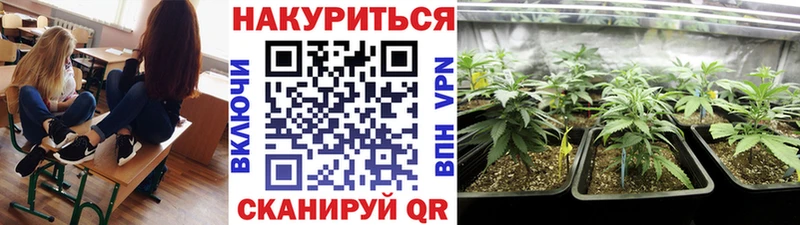 Бошки марихуана OG Kush  Уржум 
